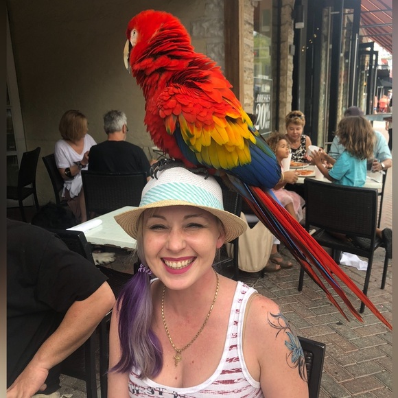 Other - Live listings